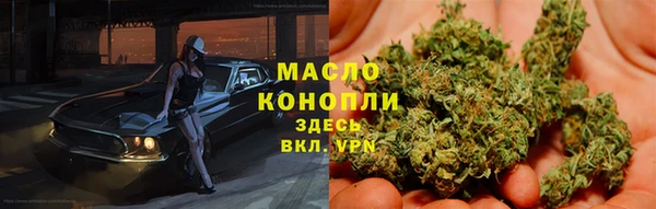 сатива Беломорск