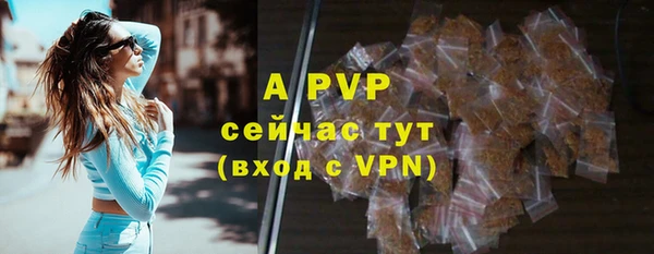 стафф Белокуриха