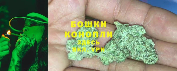 сатива Богородск