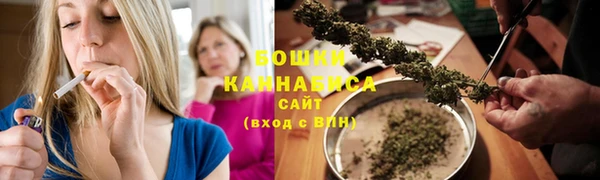 сатива Беломорск