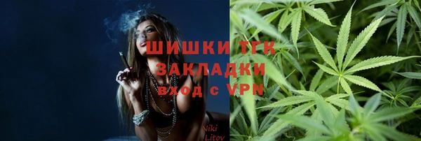 сатива Беломорск