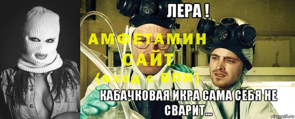 сатива Беломорск