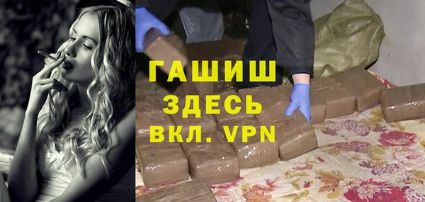 сатива Беломорск
