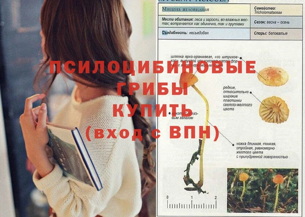 стафф Белокуриха