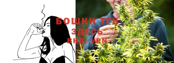 сатива Беломорск
